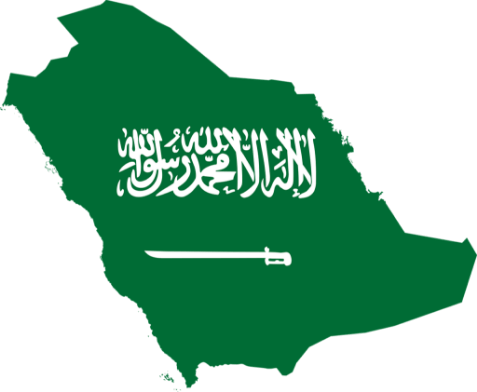 Supporting
                                    Saudization